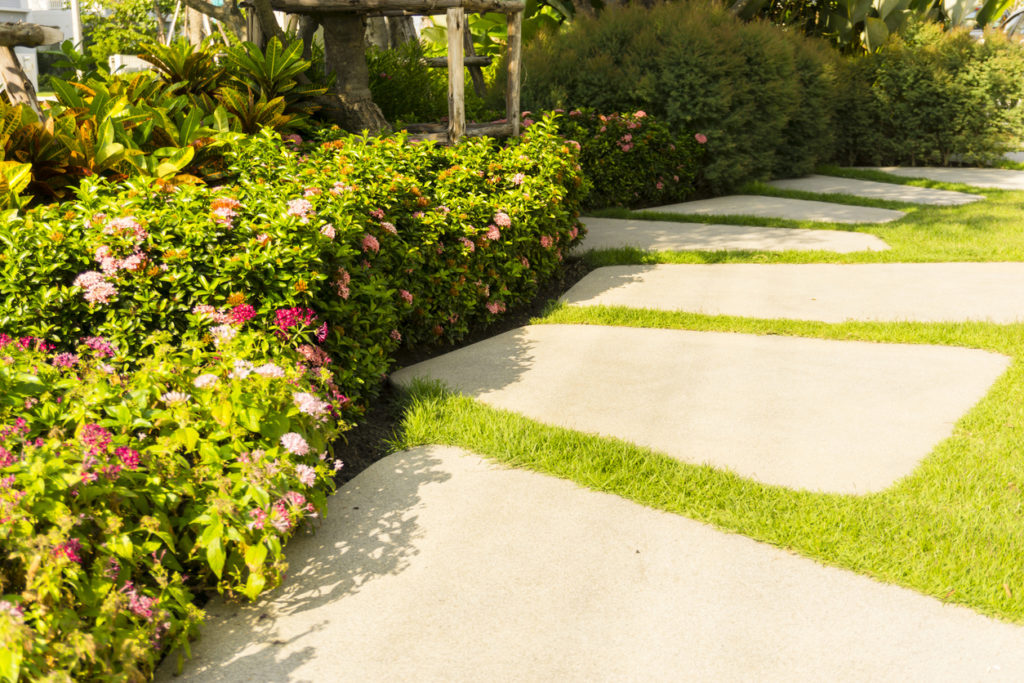 Gray curve pattern walkway, sand washed finishing on concrete paving in garden, greenery trees and shrub in good maintenance landscaped