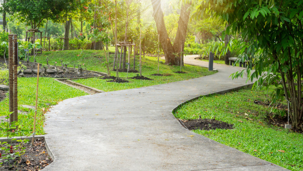 Sand washed finishing concrete paving stepping stone on a smooth green grass lawn in a shrub planting garden